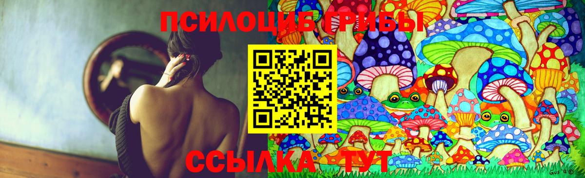 Галлюциногенные грибы Psilocybe Вятские Поляны